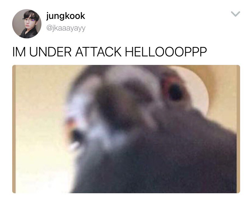 namjoonnose's tweet photo. jinkook (soulmates??) au where jin is the pigeon ruining jungkook’s life https://t.co/t44XvMwO7x