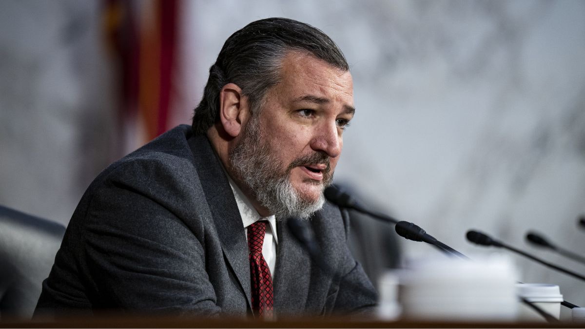 Daily Wire News tweet media