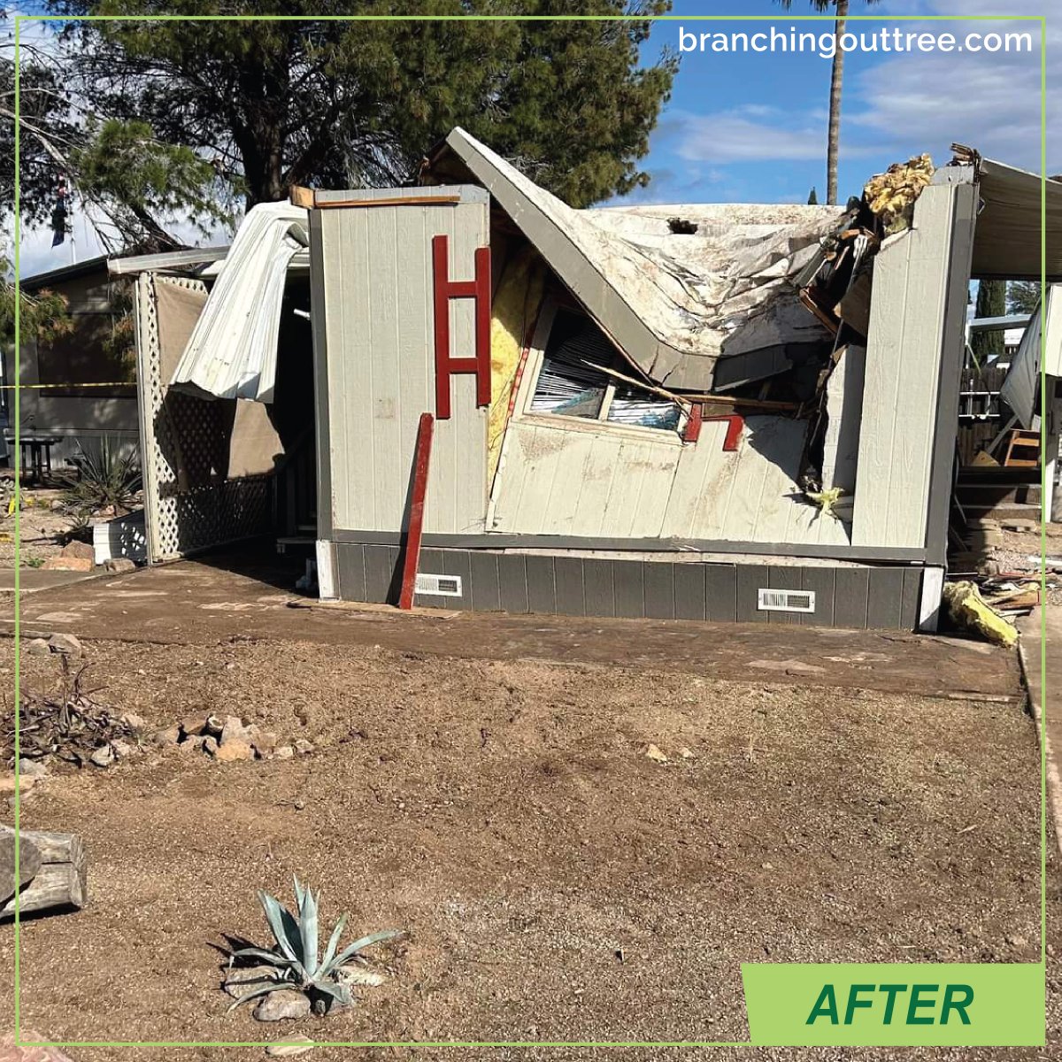 BranchingOutAZ's tweet photo. No one ever wants to deal with this situation! The lady was in her kitchen when this massive tree went down. We were happy to help her clean up the chaos. Within hours our crew had this tree safely removed from the site. #treeexpertstucson #treeremovaltucson 
#tucsontreeservice https://t.co/5vDg5STUci