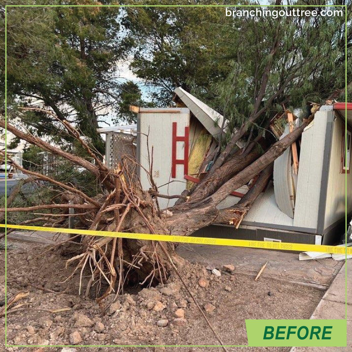 BranchingOutAZ's tweet photo. No one ever wants to deal with this situation! The lady was in her kitchen when this massive tree went down. We were happy to help her clean up the chaos. Within hours our crew had this tree safely removed from the site. #treeexpertstucson #treeremovaltucson 
#tucsontreeservice https://t.co/5vDg5STUci