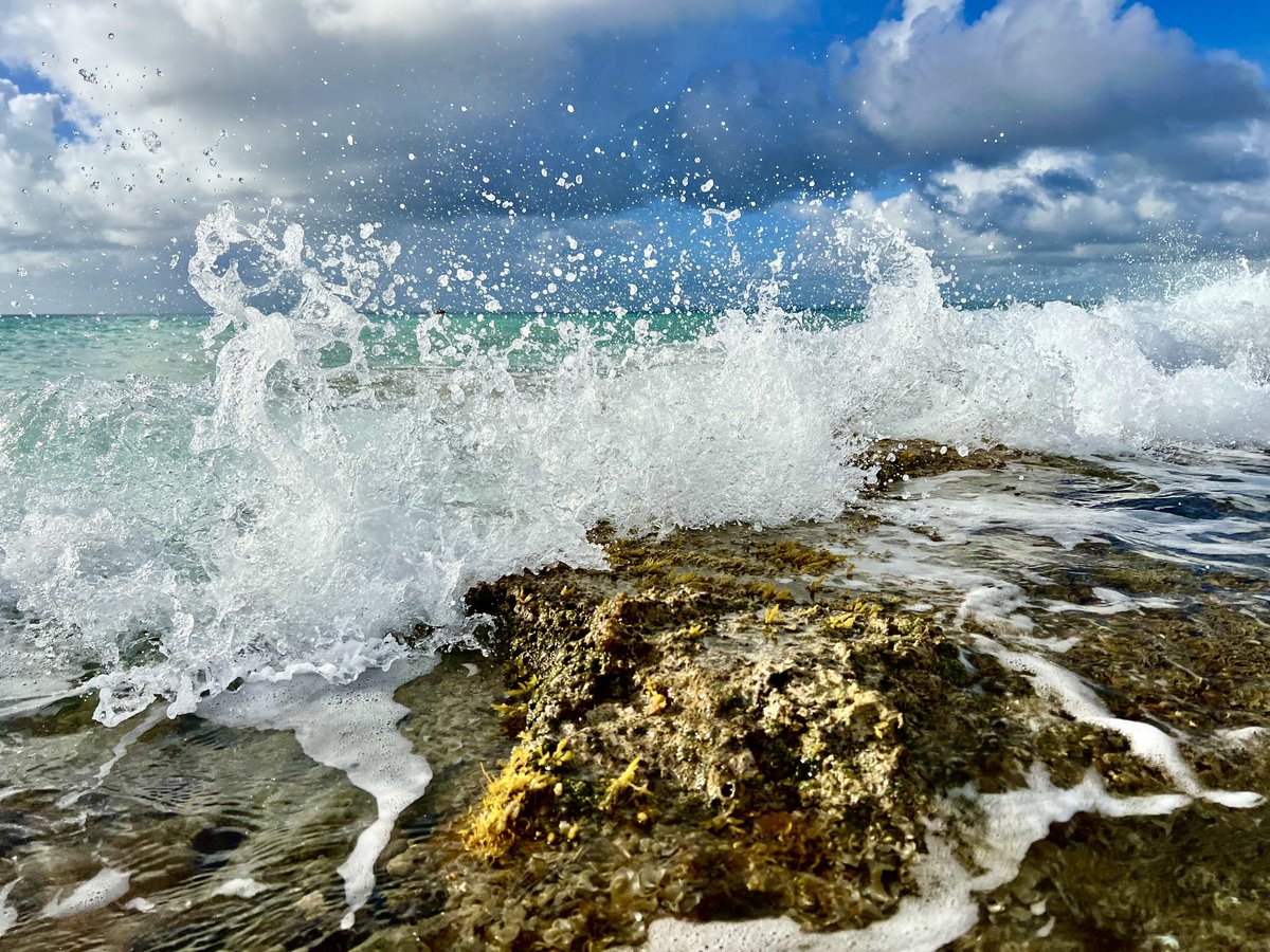 ClickandPledge's tweet image. 👋 Have a great Wednesday, everyone! 

#ProjectOcean #clickandpledge #clickandpledgefoundation