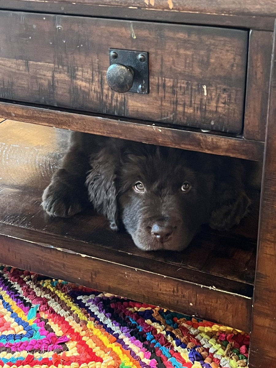 Grant Marek tweet media