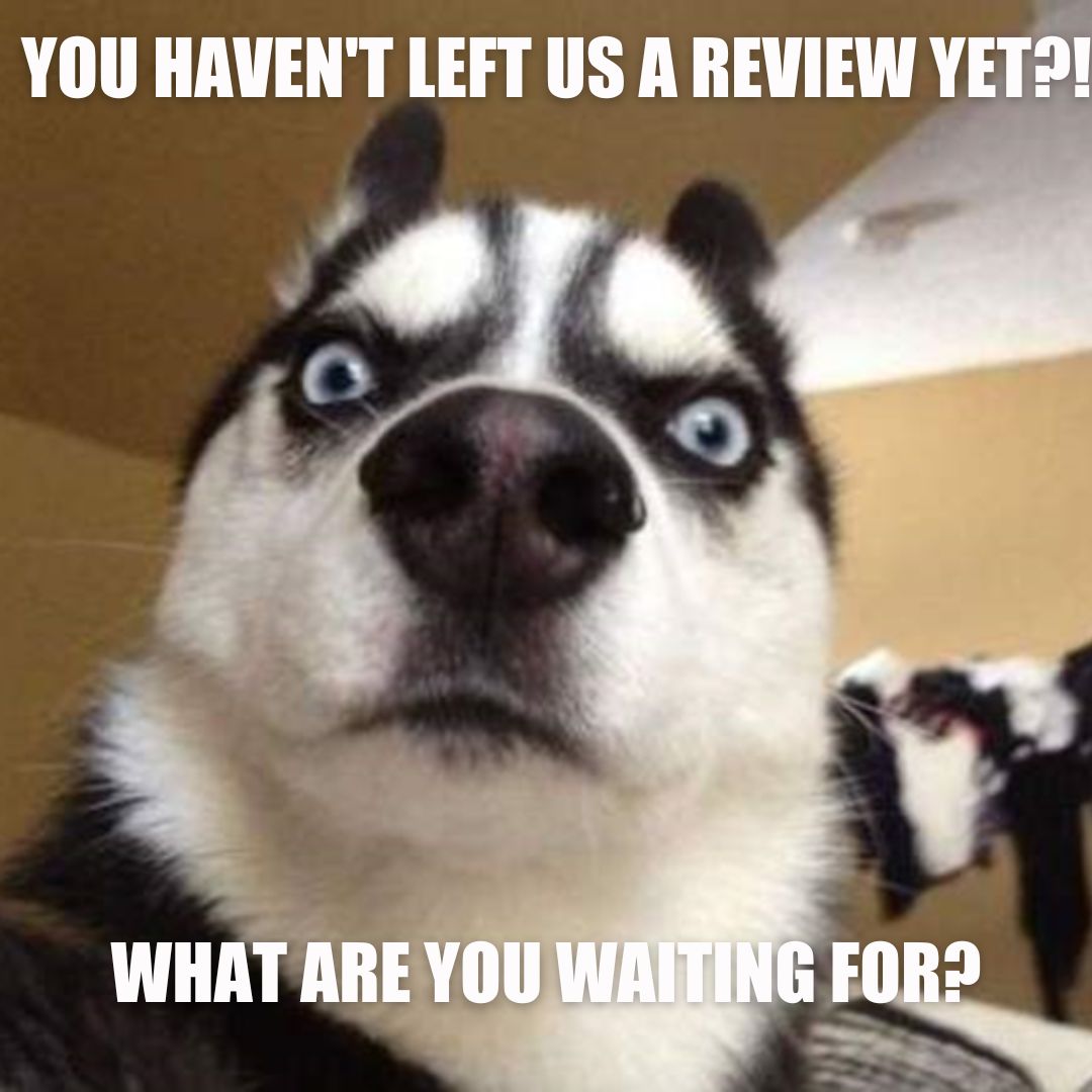 MPInsure's tweet image. g.page/r/CUH7nIwDdpX3…