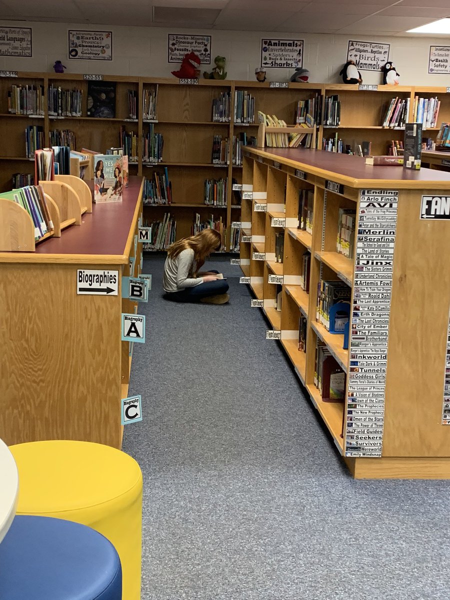 Chesterbrook ES Library tweet media