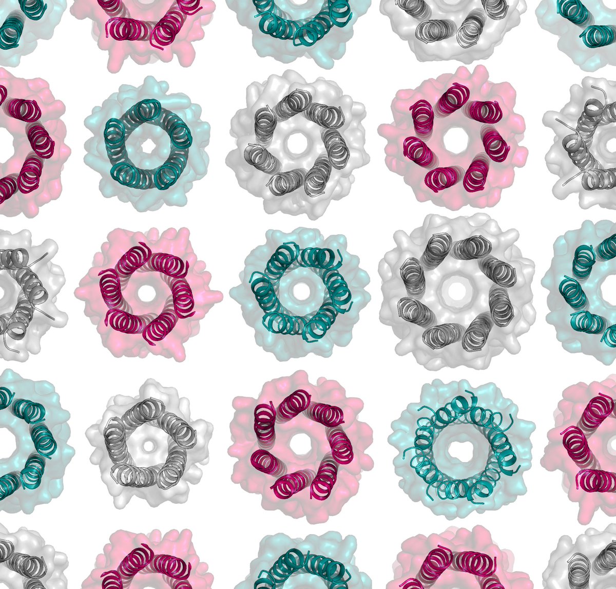 WoolfsonLab tweet media