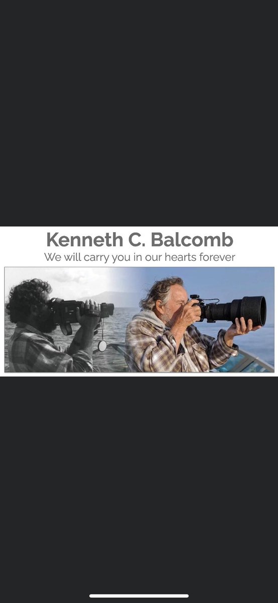 SuperPodInfo's tweet photo. #SUPERPOD8 is ON! 

July 18-21, Friday Harbor, WA 2023 
Main events held at San Juan Community Theatre. 

Theme: Remembering Ken &amp; Blackfish at 10 

DM with ANY questions related to the event or travel! Scheduling will be posted when it is finalized. 

See you on the island 🐳 https://t.co/6A2WStzcU2