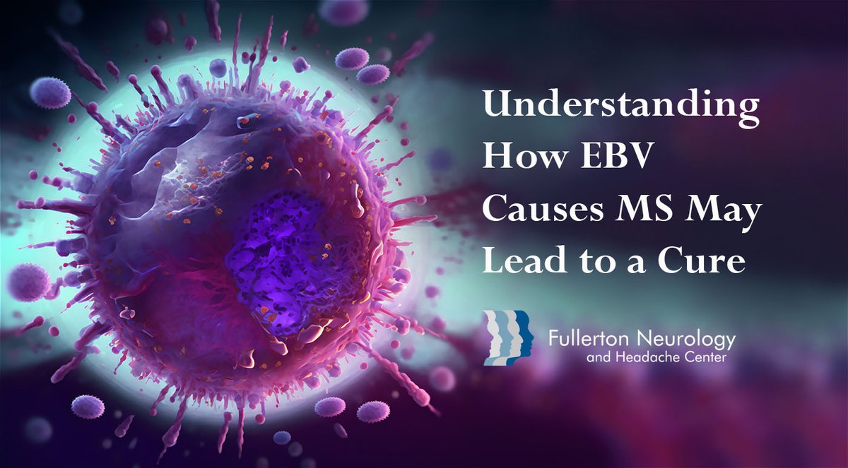 FullertonNeuro's tweet photo. Understanding How EBV Causes MS May Lead to a Cure. https://t.co/1MinaELPro https://t.co/G07DoGUIo8