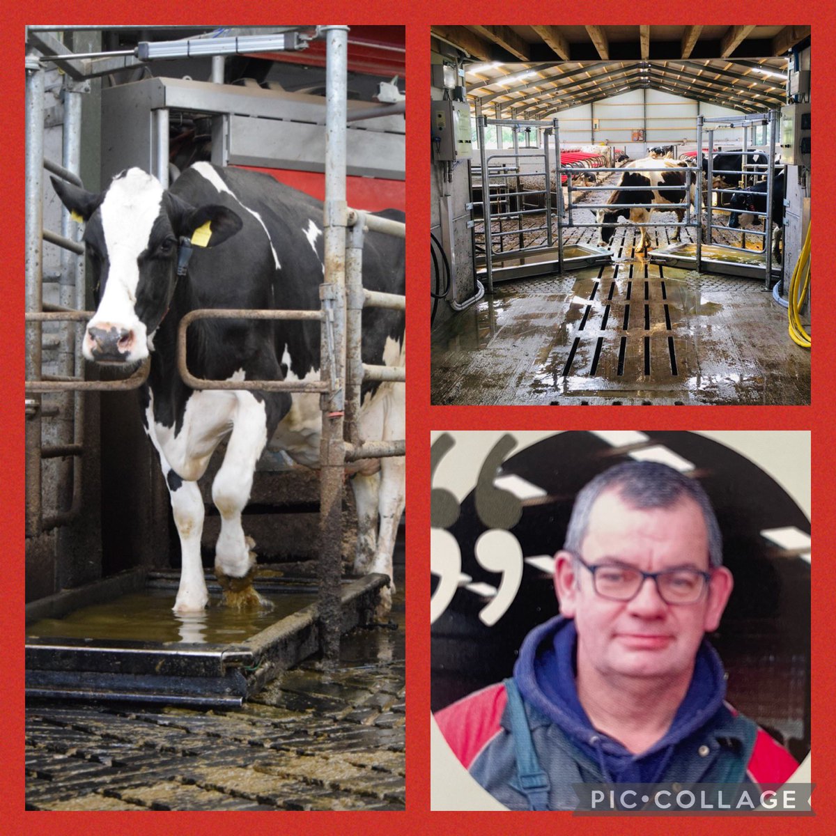 “… the footbaths have been a great investment…they save time and give us peace of mind.” S.Holden, 115 cows, Lancashire. Read more in this months <a href="/britishdairying/">British Dairying</a> or visit us at <a href="/Dairy_TechUK/">Dairy-Tech</a> next Wednesday. #teamdairy
