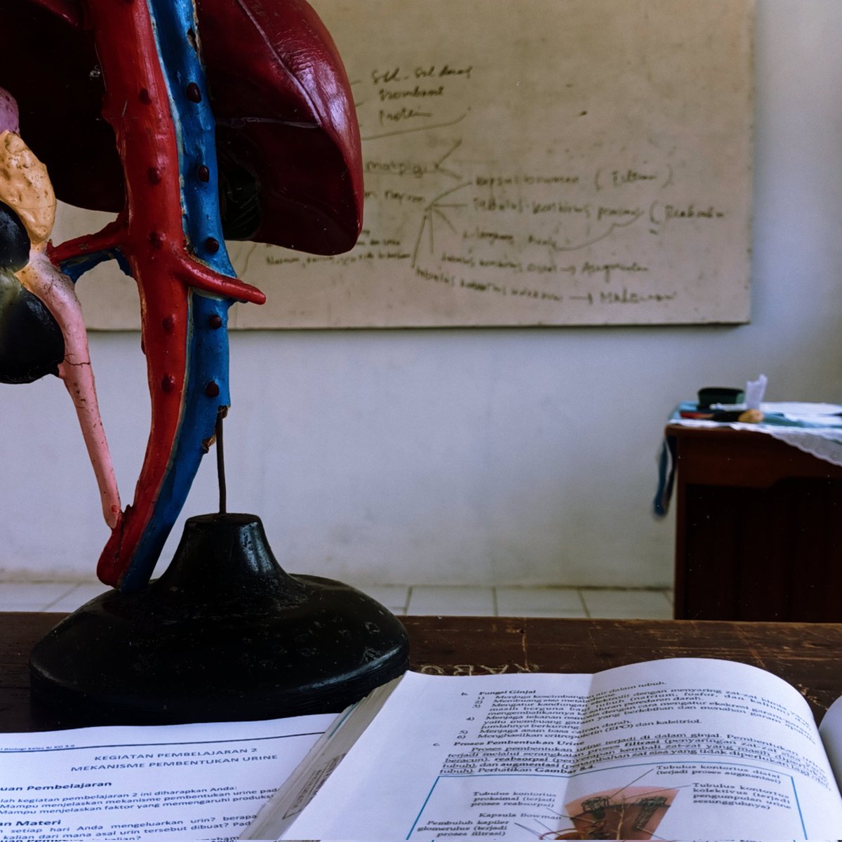 studywkia's tweet image. 250123 ༉‧₊˚