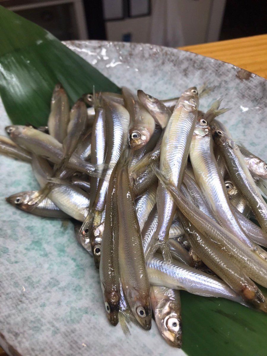 MonnakaU's tweet photo. ＃ワカサギ　#門前仲町海の幸　
#天麩羅　#海鮮　#居酒屋　#寿司
#日本酒　#お刺身　#おつまみ https://t.co/ZUF7cQS9lH
