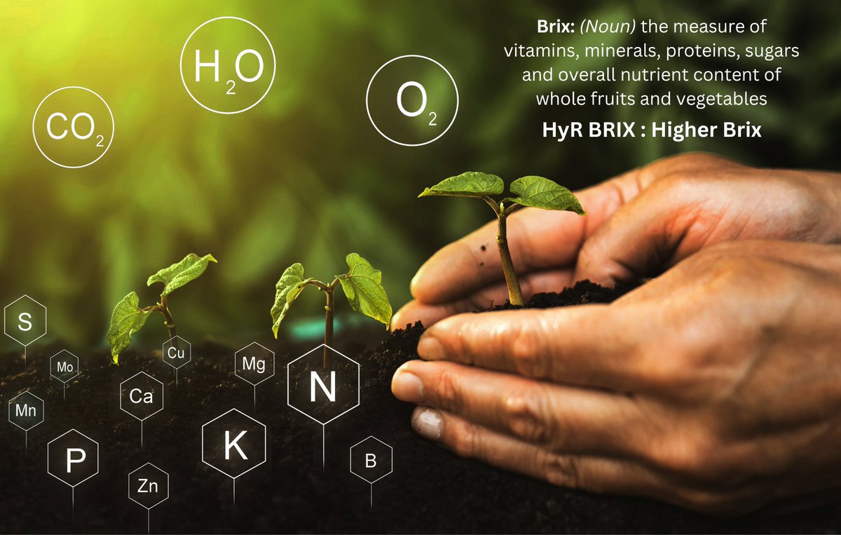 HyRBrix's tweet photo. If you compare a store-bought green bean a green bean grown in HyR BRIX® soil, you'll notice a huge difference because HyR BRIX® delivers a Higher Brix level. Brix is a measure of the overall nutrient content of produce. The higher the Brix, the healthier and tastier the plant. https://t.co/k3UzuHIHKn