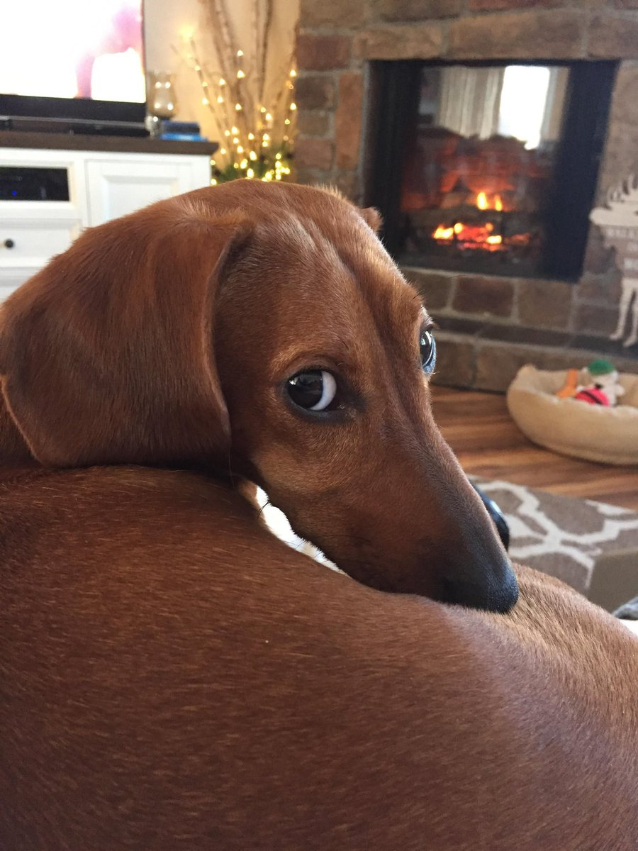 gottagofast2's tweet photo. @FloridadadD @InternetH0F @mindykaling are you sure about that https://t.co/7B9SBeV3El