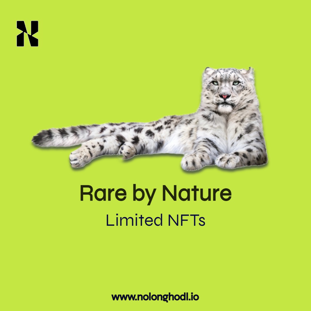 nolonghodl's tweet photo. The scarcity of NFTS inherently generates an increase in value. Our NFTs are limited and would be released as clumps and in batches. Each clump has 150 NLH NFTS.

Mint your NFT on our website ↗️ https://t.co/5ufzUjSvz7 and OpenSea before the prices change 🕐

#NFT #NFTcollections https://t.co/OEixtJlnFm
