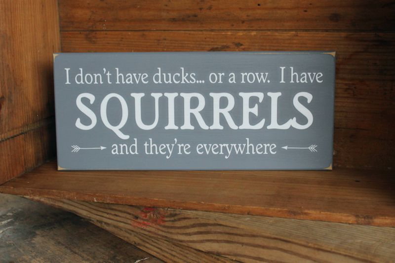 CountryWorkshp's tweet image. I don't have #Ducks or a row I have #Squirrels and they're everywhere, #FunnySign, #Handcrafted, Office Sign #tmtinsta etsy.me/3H5P1zO via @Etsy