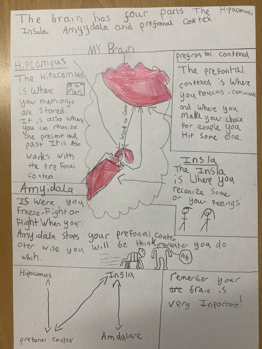 net_wellbeing's tweet photo. Year 6 @WindmillRaunds are putting together their own personalised toolkit to support their mental health and well-being.  Last week we did a map of the brain and recorded everything we know.  Amazing understanding ⭐️ @NeneEducation #wellbeing #mentalhealth https://t.co/qOZJNAraZD