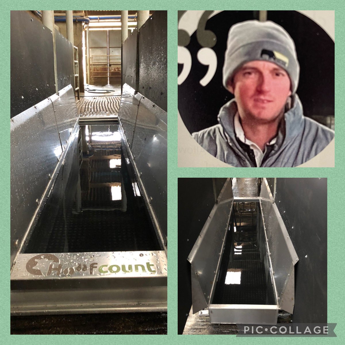 “Our cow’s feet are amazing… since installing a 3.7m HOOFCOUNT Footbath in 2018 Digital Dermatitis has more than halved..” C.Quick, milking 900 cows, Somerset. 
Read more in this months <a href="/britishdairying/">British Dairying</a> or visit us at <a href="/Dairy_TechUK/">Dairy-Tech</a> #healthyfeet #effective