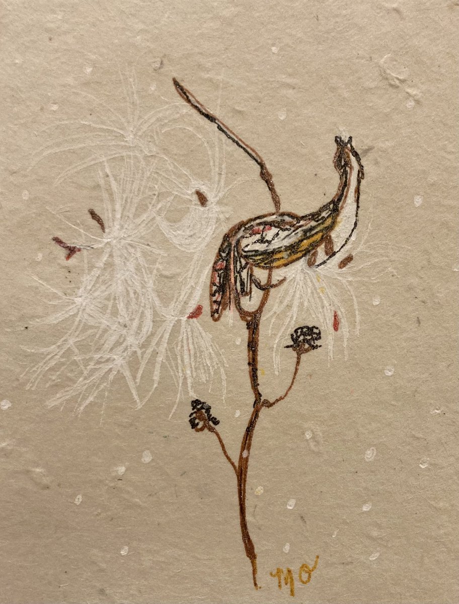 Misti Boland tweet media