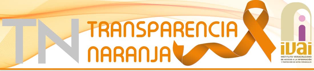 VERIVAI's tweet photo. Como parte de las acciones de #TransparenciaNaranja, en el #IVAI se hizo un pronunciamiento de cero tolerancia a cualquier tipo de violencia contra mujeres.

En este #DíaNaranja refrendamos nuestro compromiso de trabajar para erradicar éstas prácticas.

⤵️
https://t.co/hCbTMyL8nQ https://t.co/tNbDHBjCHq