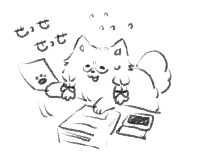 何もわからないまま仕事をするポメ先生 