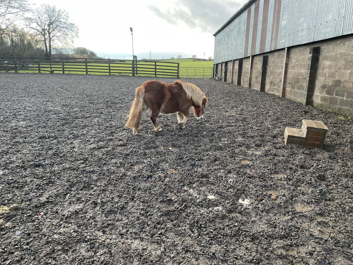 john lawrie tweet media