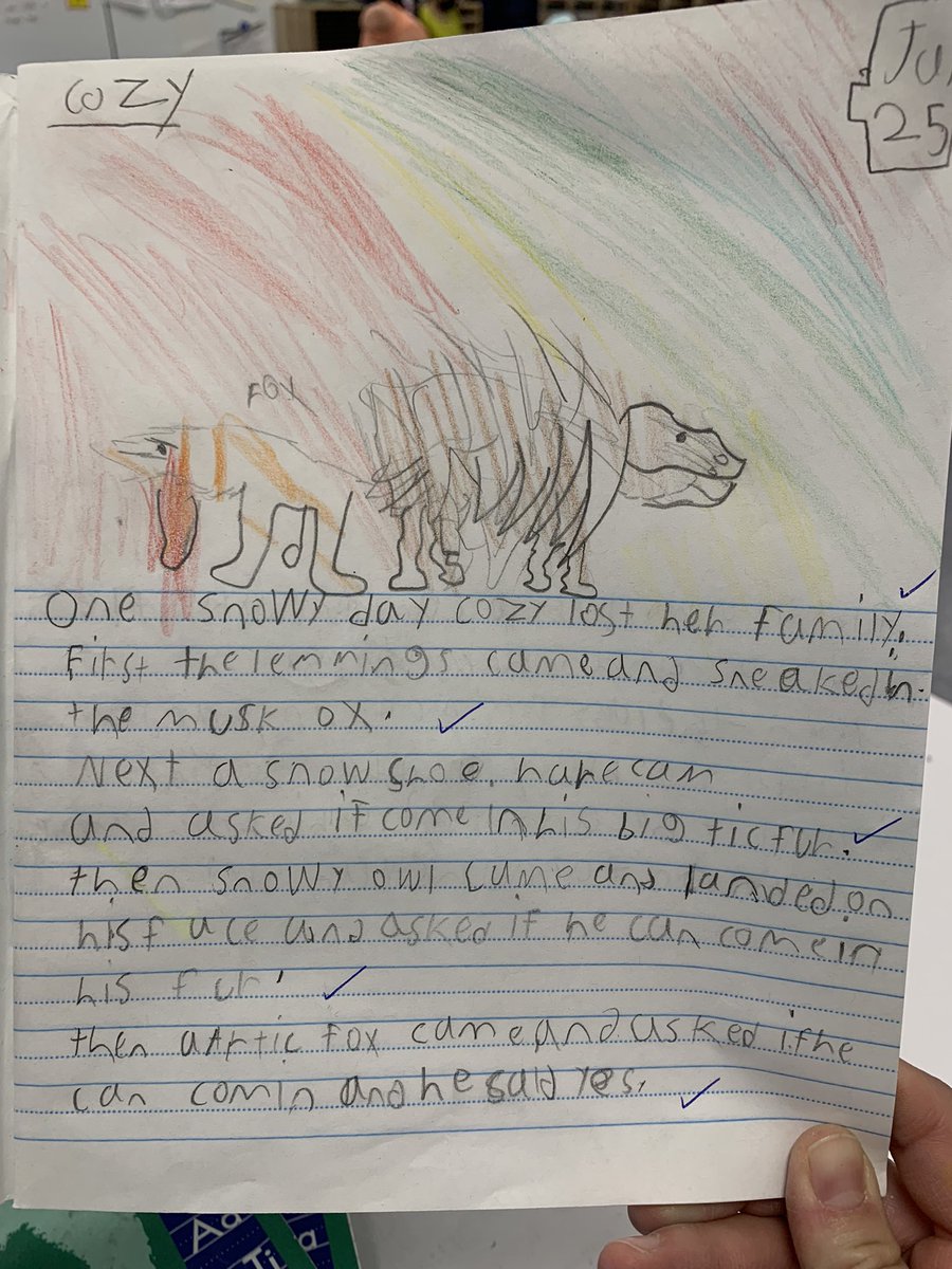 Grade 2 Buffalo Rubbing Stone School CBE tweet media