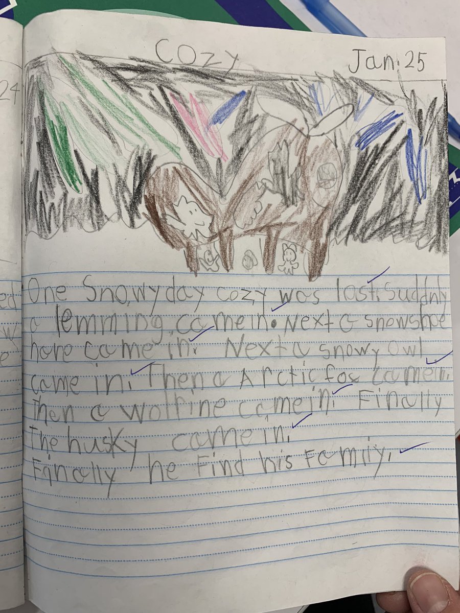 Grade 2 Buffalo Rubbing Stone School CBE tweet media