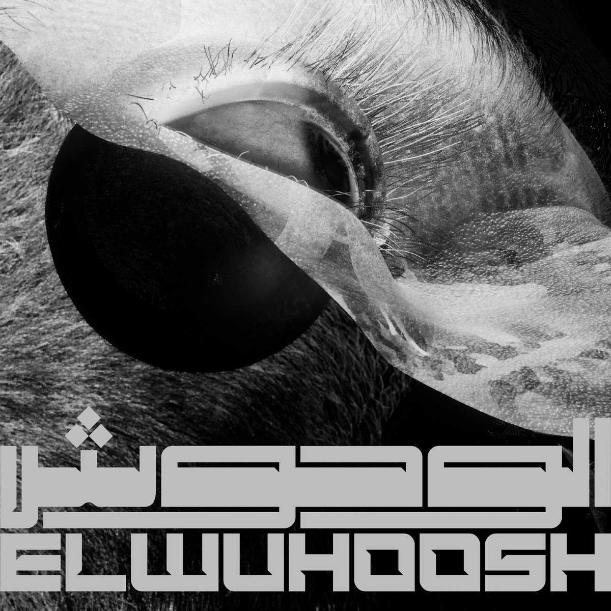 جاهزين نسمعكم اول صوت من اصوات المربّع القادم في اغنية الوحوش مع اطلاق الفيديو بتاريخ ٢ شباط. We’re excited to share with you our new single ‘El Wuhoosh’ and to premiere the video on February 2nd youtu.be/U_dMhDsUMOQ