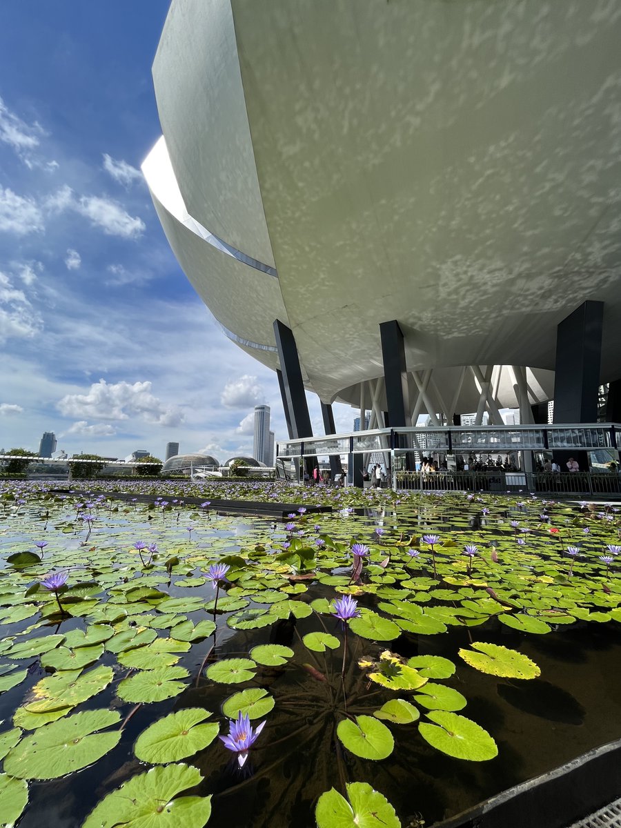 RLMG (Richard Lewis Media Group) tweet media