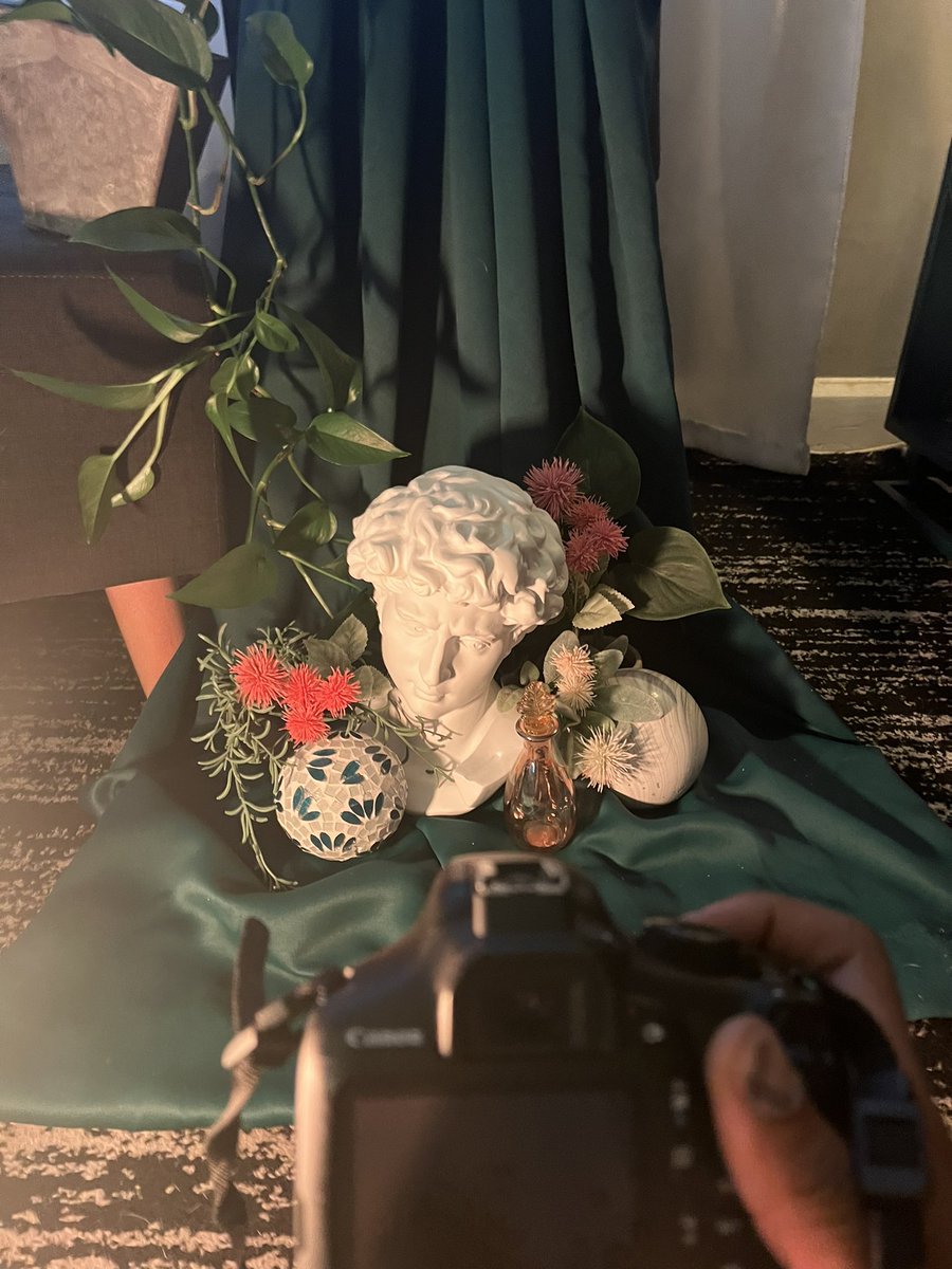 ConeyIslandCon's tweet photo. Snow day dusted off the 📷🏛️🌿🪷 https://t.co/WcKuCZlokx
