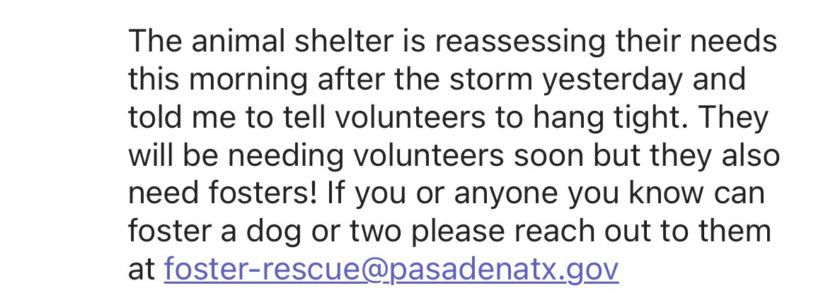 Hey Texan Fam, hope all is well with your families and homes. Some have inquired about volunteering. The city is still assessing needs and will share volunteer needs soon. For now, see below for opportunities to foster pets. Pet food, toys, and supply donations are also needed.💙