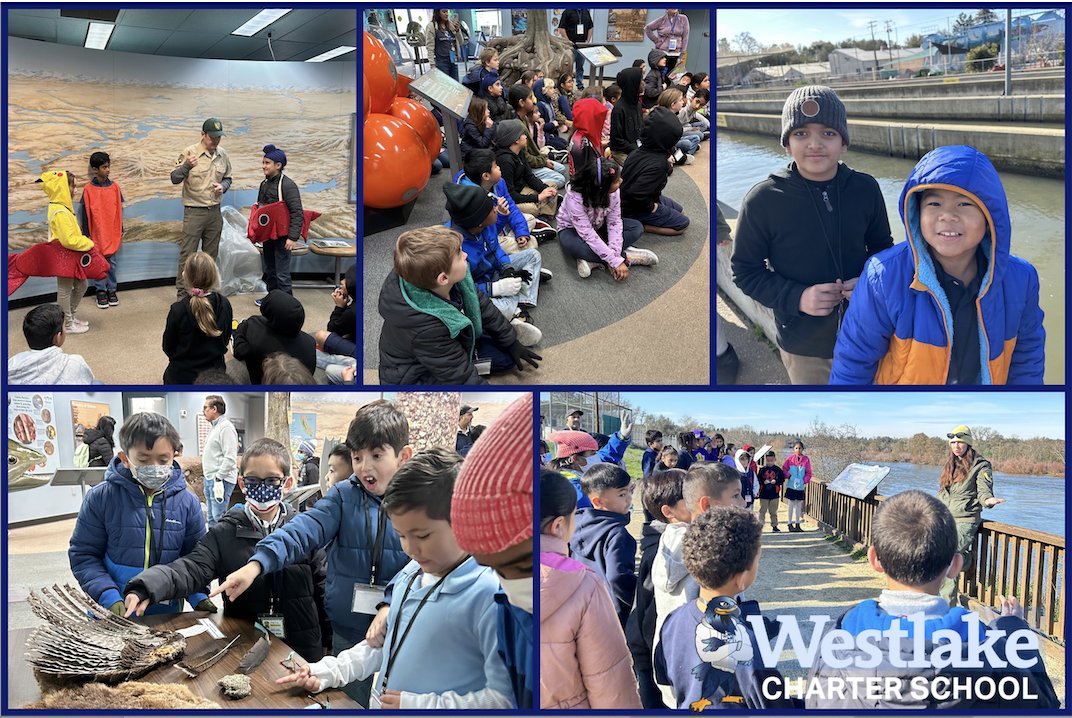 westlakecharter's tweet image. Our 3rd Grade Explorers visited the Nimbus Fish Hatchery last week for a day of hands-on learning. #WestlakeCharter #WCSJoyfulLearning