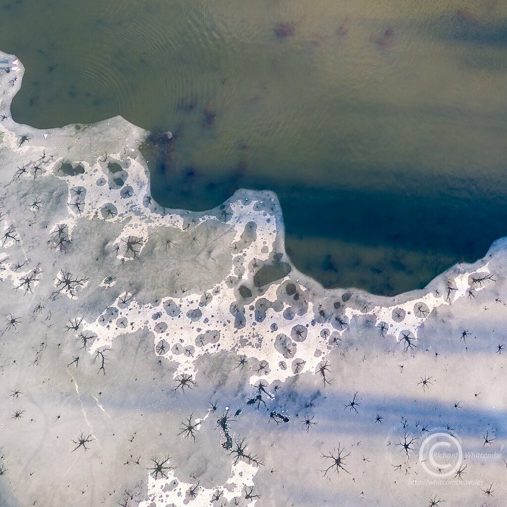 instagr.am/p/Cn2CGEwMAAE/
Ice patterns on the semi frozen lake at @parcbrynbach , Wales
.
.
.
.
.
#ice #lake #frozen #abstract #pattern #winter #cold #snow #wales #walesphotography #walesonlines #visitwales #discoverwales #brynbachpark #tredegar #southwales #dronestagram #droneph…