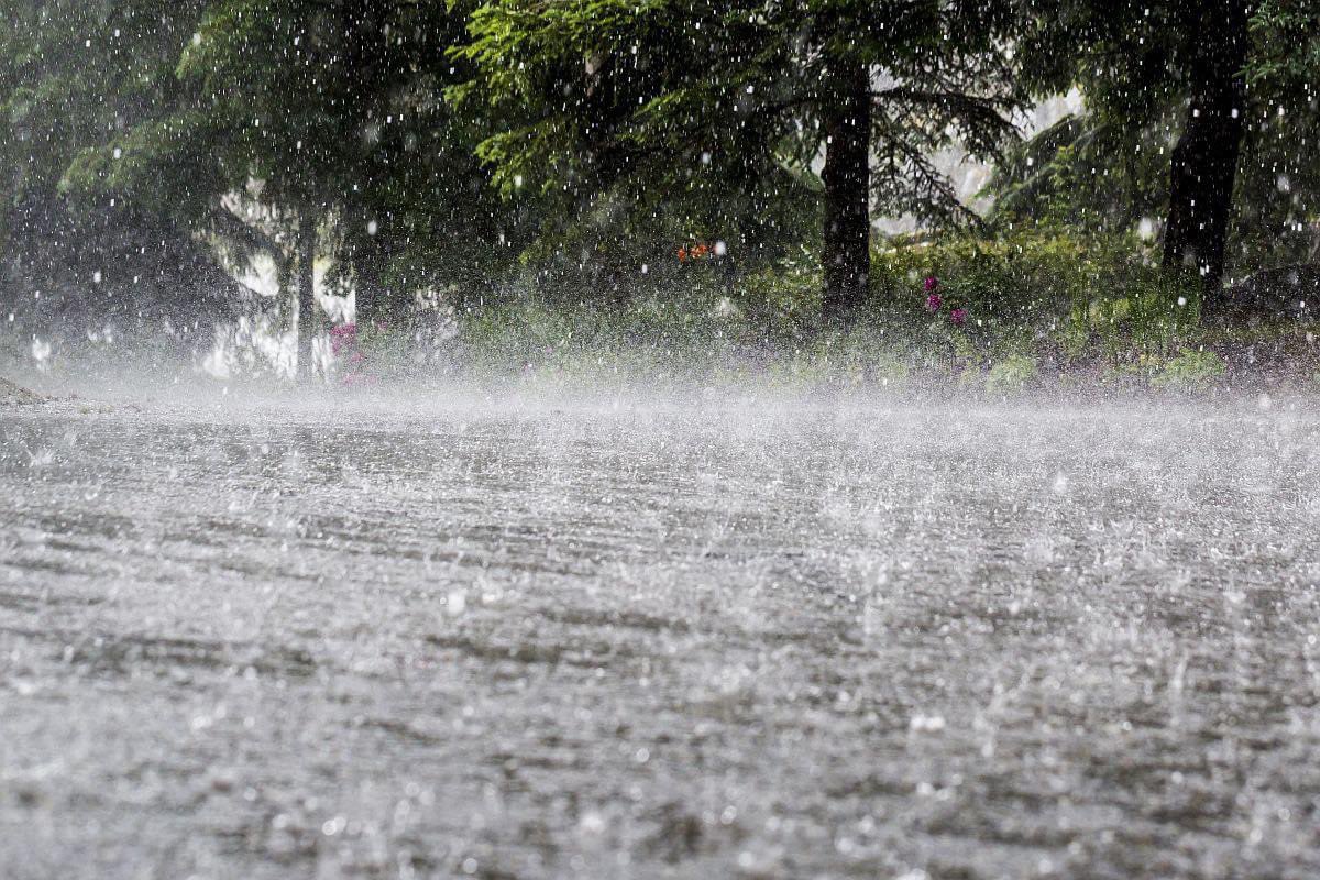 LMCHouston's tweet photo. We experienced heavy rains in the area yesterday. Good landscaping anticipates heavy rains and directs it away from your structures. After the rain has passed, it is a good time to take note of any areas that collect water or flood more heavily so drainage or landscaping can be https://t.co/vfyfOxyjtn