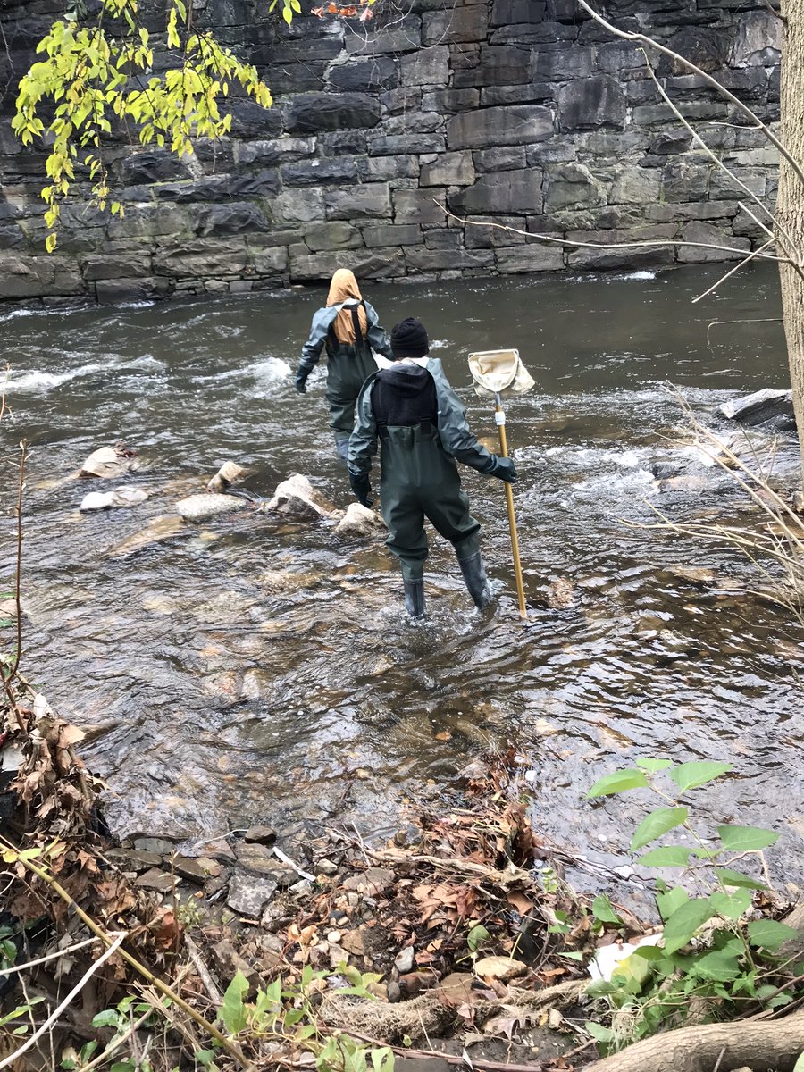 ubaltmain's tweet photo. Dr. Stanley Kemp, director of @UBalt_ES, knows the best way to understand environmental science is to get out of the classroom and into the field. He's found that Jones Falls is the perfect place for hands-on service learning. https://t.co/4AkIISGrsH https://t.co/UZD1T4dtBE