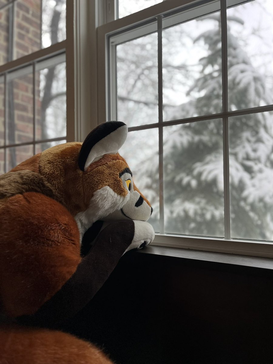 *sighs* Those post con blues after 
a nice weekend <a href="/Anthro_NE/">Anthro New England | #ANE2026</a>
#ANE2023 #AnthroNewEngland2023