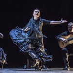 Photo by Noche Flamenca (@NocheFlamenca)
