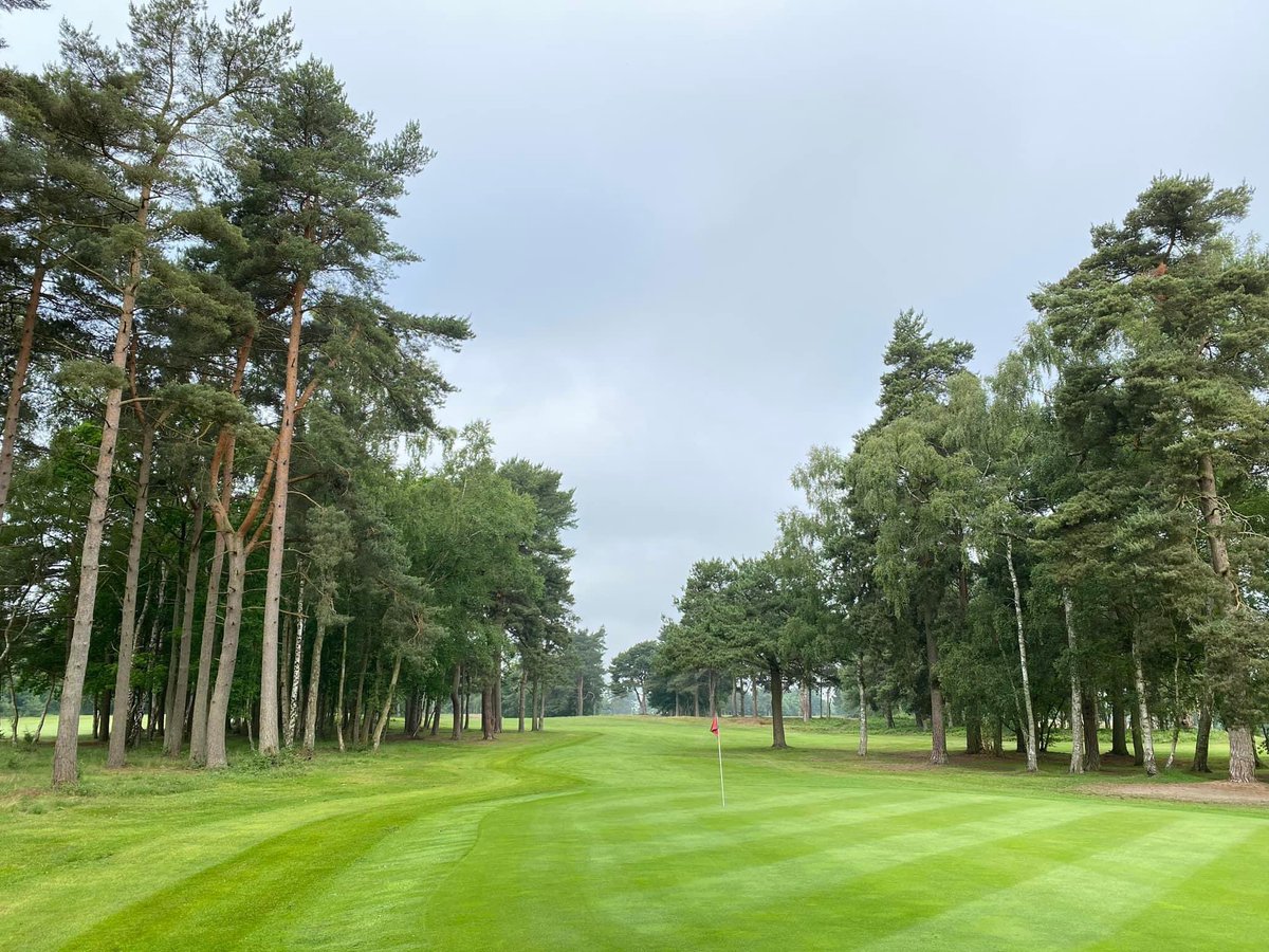 Marketrasengc's tweet photo. Heres some photos that just shows #golfer s who have yet to visit @Marketrasengc what they are missing. A beautiful tree lined heathland course set on the edge of the #Lincolnshire wolds and why @GolfMonthly and @JezzEllwoodGolf have it as one of their hidden gems. @golfshake https://t.co/AAmiM4x4Sv