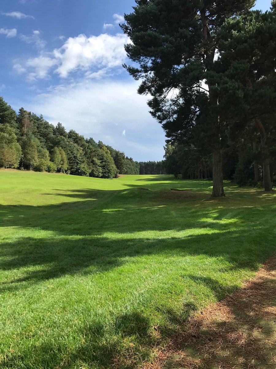 Marketrasengc's tweet photo. Heres some photos that just shows #golfer s who have yet to visit @Marketrasengc what they are missing. A beautiful tree lined heathland course set on the edge of the #Lincolnshire wolds and why @GolfMonthly and @JezzEllwoodGolf have it as one of their hidden gems. @golfshake https://t.co/AAmiM4x4Sv