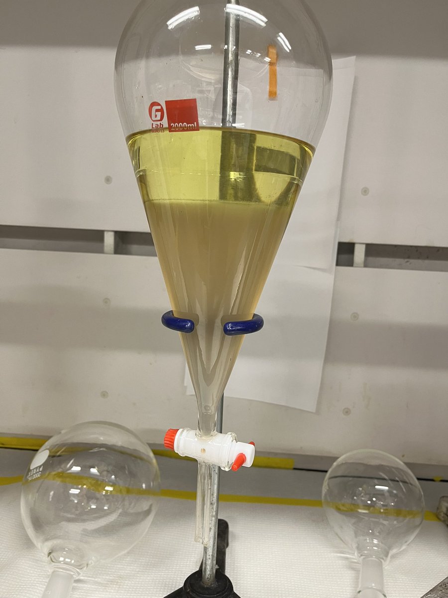 Today we’re doing solvent-solvent extraction of broth from hairy roots. It’s quite a workout! 💪😮‍💨