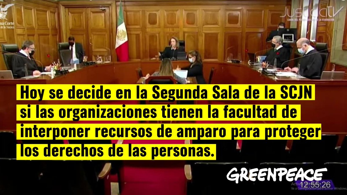 greenpeacemx's tweet photo. Las organizaciones llevamos décadas recurriendo a litigios y amparos para garantizar el acceso pleno a derechos. Por eso es importante que exijamos a los ministros y ministras de la Segunda Sala de la @SCJN que decidan en favor de los derechos de las personas organizadas. https://t.co/hF5WxfSvp6