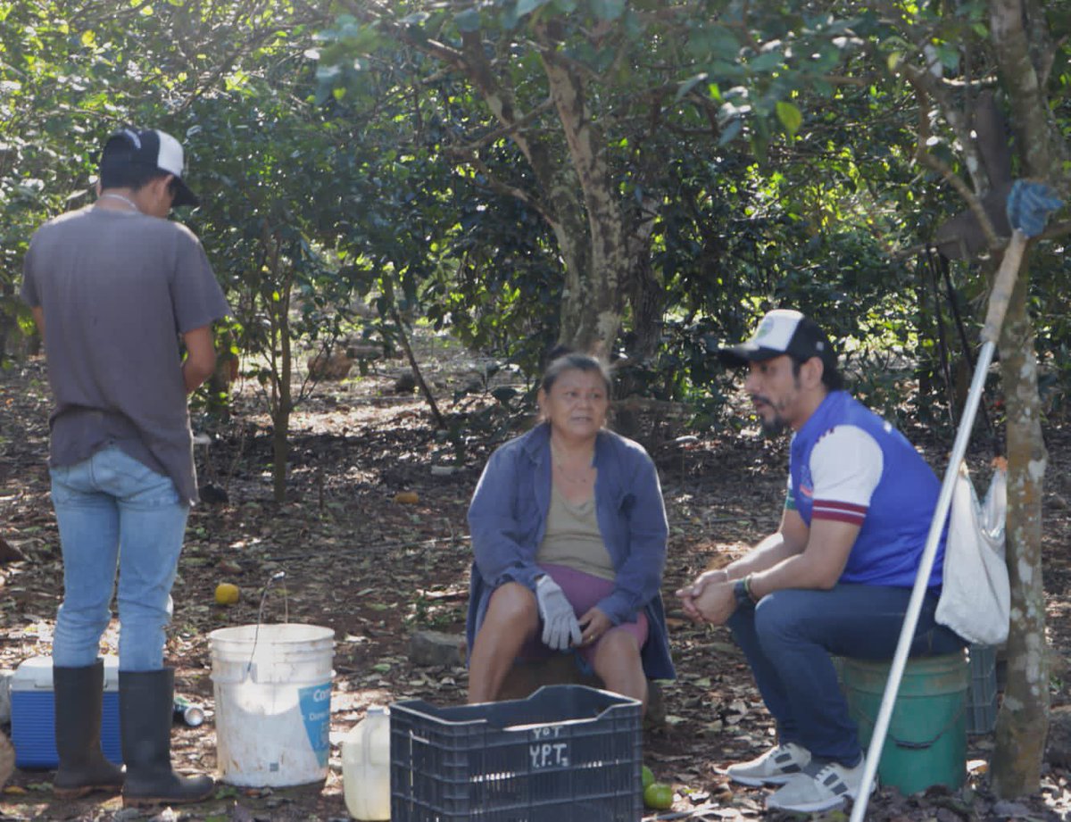 RafaMontalvoMx's tweet photo. Doña Yolanda es una mujer dedicada al campo y al hogar…sus conocimientos son impresionantes…ella junto con su familia están por cabaché en #Yotholin, zona que si todo sale bien tendrá un nuevo camino sacacosechas. Su producción citrícola engrandece a nuestra tierra! https://t.co/2U71cX9rX0