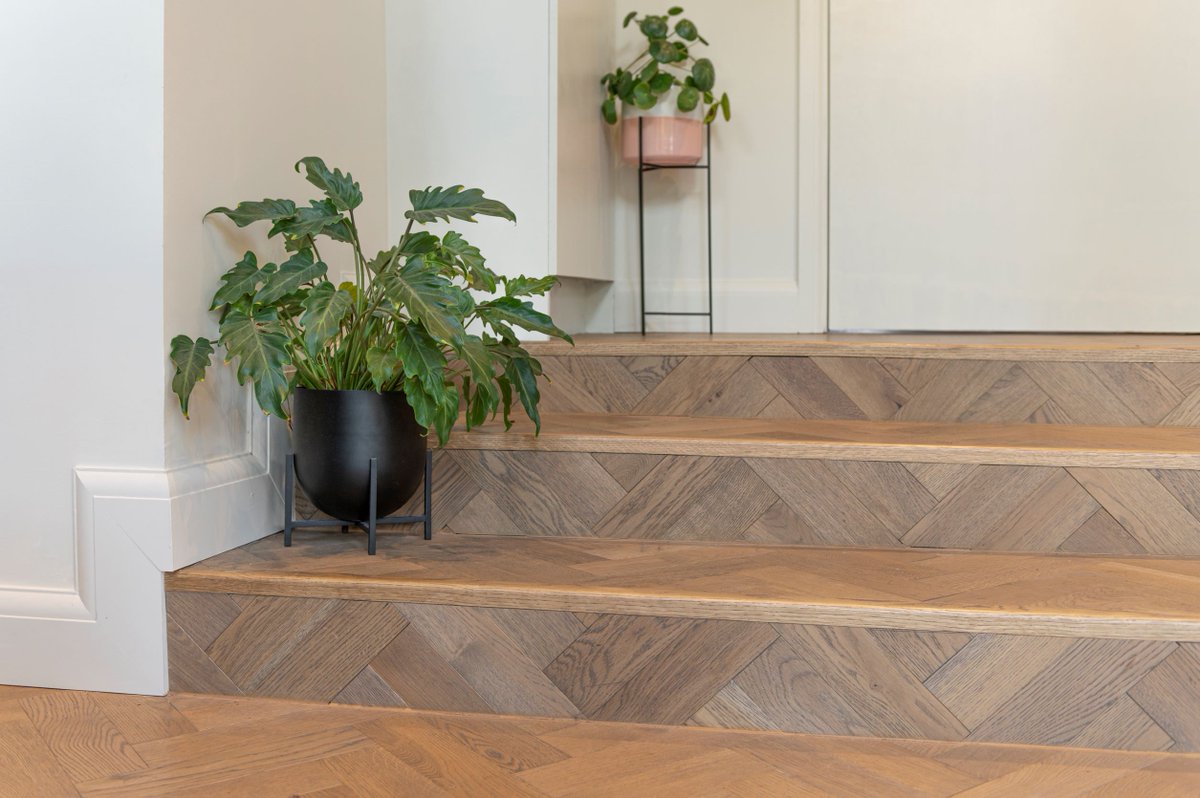 V4Woodflooring's tweet image. Did you know at V4 Wood Flooring, we have solid wood transition bars and stair nosings so you can create a seamless wood design? 

Click the link to browse our accessories now 👉 bit.ly/V4-Accessories

#v4woodflooring #v4 #engineeredwood #flooring #floors #design #V4 #woodfloor