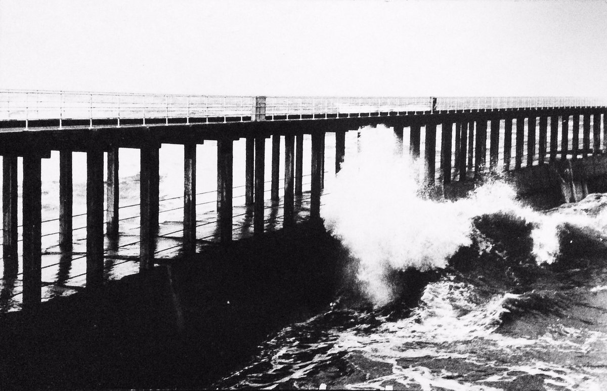 John M Gash tweet media