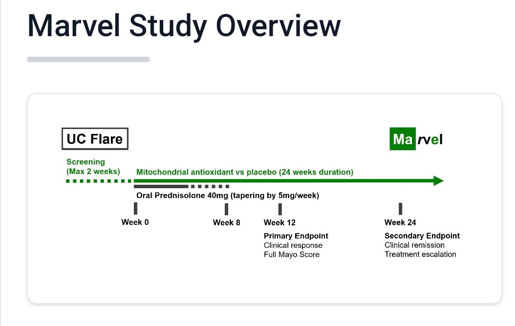 Marvel UC Trial (@marveltrial) on Twitter photo We're delighted to welcome Chelsea & Westminster hospital as our 1st English site for our mitochondrial antioxidant treatment for #UC marvelstudy.uk @Edin_IBDScience <a href="/CrohnsColitisR/">Crohn's & Colitis Research</a> <a href="/CrohnsColitisC3/">Cure Crohn's Colitis - Funding IBD research</a> @EdinUni_MeetCIR @ChelwestRD <a href="/ChelwestFT/">Chelsea and Westminster Hospital</a> We're delighted to welcome Chelsea & Westminster hospital as our 1st English site for our mitochondrial antioxidant treatment for #UC marvelstudy.uk @Edin_IBDScience <a href="/CrohnsColitisR/">Crohn's & Colitis Research</a> <a href="/CrohnsColitisC3/">Cure Crohn's Colitis - Funding IBD research</a> @EdinUni_MeetCIR @ChelwestRD <a href="/ChelwestFT/">Chelsea and Westminster Hospital</a>