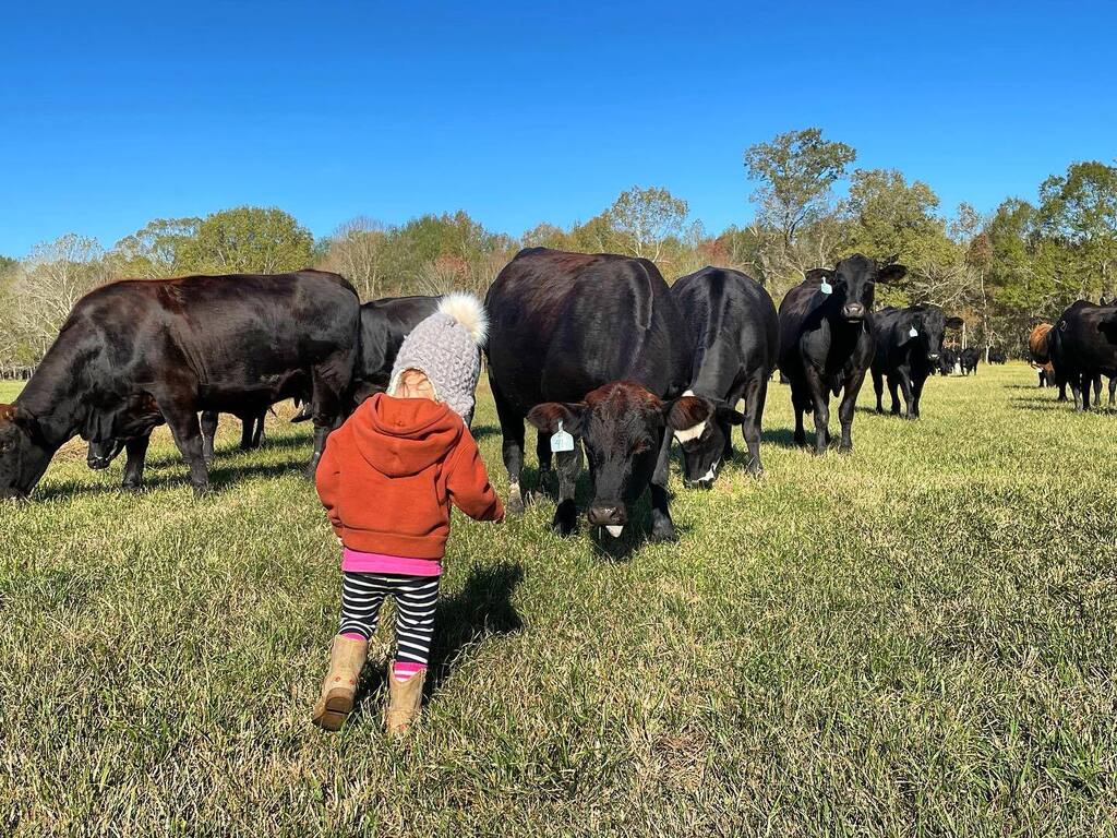 Something about farmkids gets me every single time!

#livinherbestlife #lovethislife #farmkids #farmkidshavemorefun instagr.am/p/Cn2LZq2uhad/