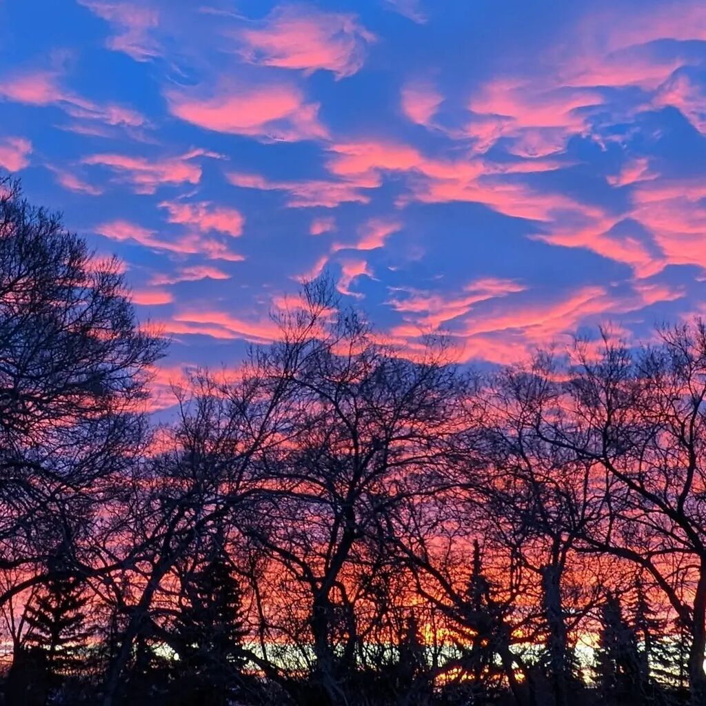 artsproul's tweet photo. What a beautiful start to the day #nofilter #sunriseoftheday #januarymorning https://t.co/y3KUTmVize