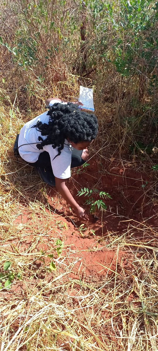 The School Garden Project Follow us on the link Below and support us in fighting climate change linkedin.com/posts/swecf-ke…