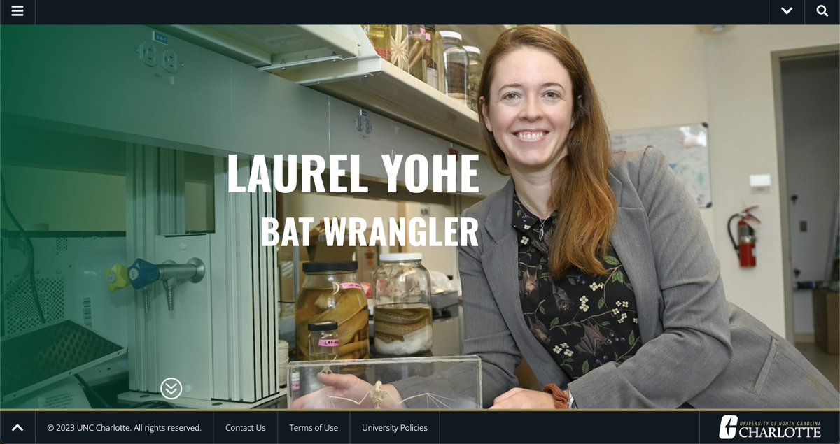 See the Yohe Lab featured here in contributing to the new @CLT_CCI @UNCC_BIGScience @UNCCBiology Center for Computational Intelligence to Predict Health and Environmental Risks (#CIPHER)! 🦇👩‍🔬🦠🔬👩‍💻📊
features.charlotte.edu/laurel-yohe