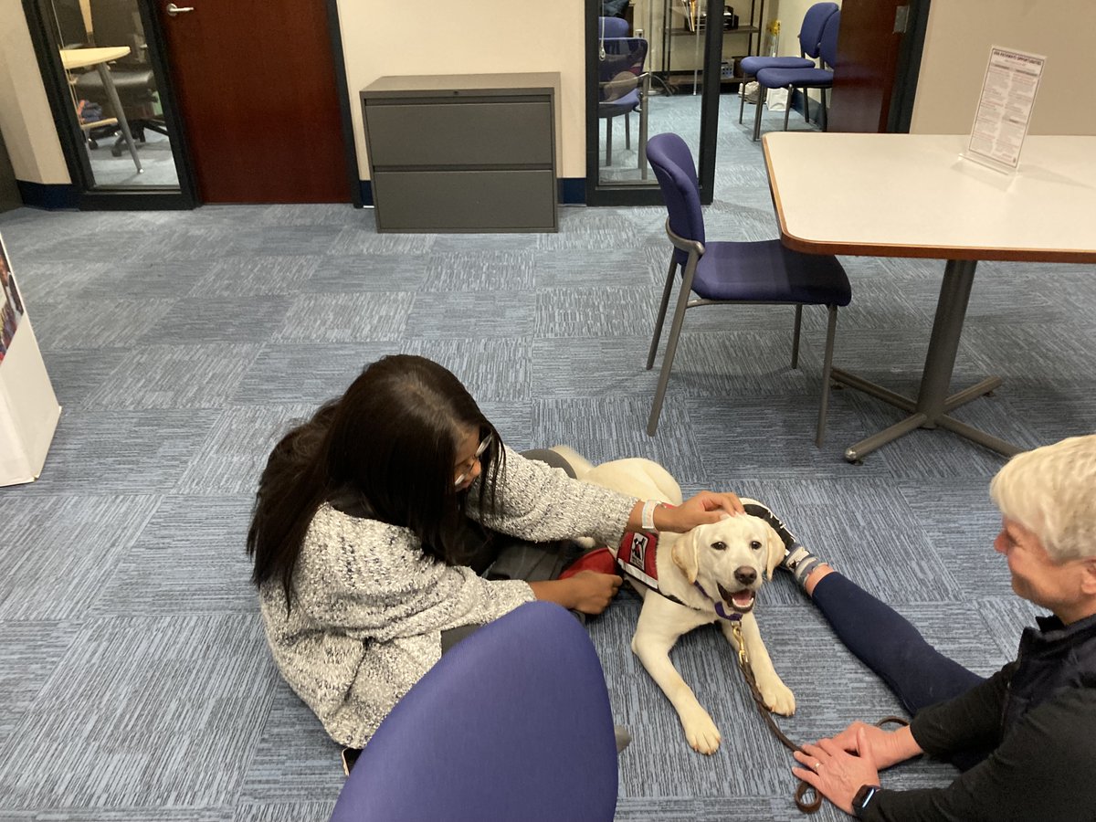 UvaChamp's tweet photo. Yesterday, some friends of mine (May, Star, Bubba and Aidan) went to the academic center to meet some our student-athletes!

#GoHoos | @servicedogsva https://t.co/jxiEKEhFWB