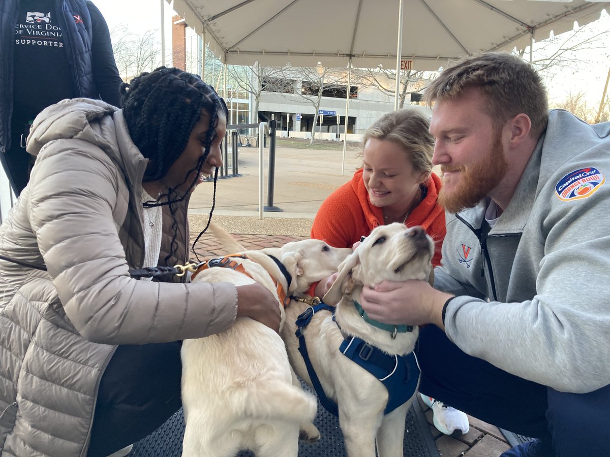 UvaChamp's tweet photo. Yesterday, some friends of mine (May, Star, Bubba and Aidan) went to the academic center to meet some our student-athletes!

#GoHoos | @servicedogsva https://t.co/jxiEKEhFWB